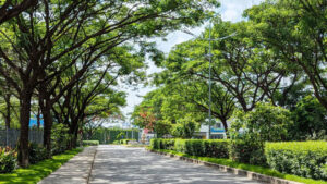 đầu tư Setia Edenia